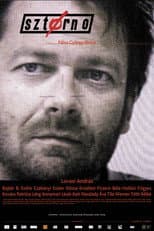 Poster for Sztornó