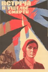 Poster for Meeting in the Gorge of Death