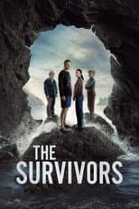 Poster for Limited Series