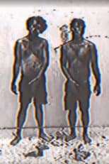 Poster for Fook Fook Boys