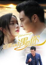 Poster for 如果没有遇见你