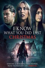 Poster for I Know What You Did Last Christmas