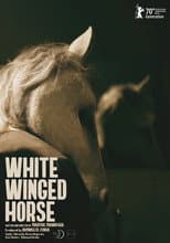 Poster for White Winged Horse