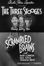 Poster for Scrambled Brains