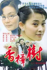 Poster for 香樟树