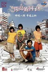 Poster for 闪亮的日子