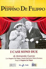 Poster for I casi sono due
