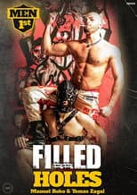 Poster for Filled Holes