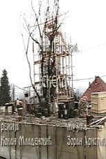 Poster for Scaffold
