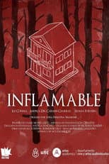 Poster for Inflamable