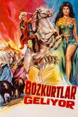 Poster for Bozkurtlar Geliyor