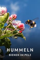 Poster for Hummeln - Bienen im Pelz