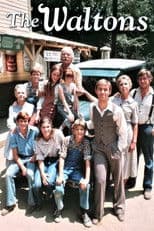 Poster for The Waltons