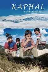 Poster for Kaphal: Wild Berries