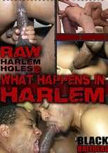 Poster for Raw Harlem Holes 2: What Happens in Harlem