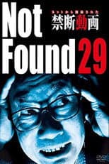 Poster for Not Found 29