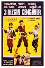 Poster for Üç Kızgın Cengaver
