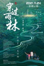Poster for Through The Rainforest