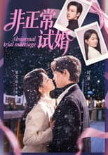 Poster for 非正常试婚