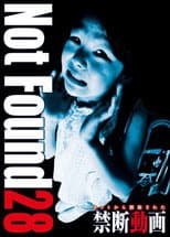 Poster for Not Found 28