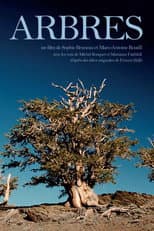Poster for Trees