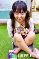 Poster for Animal Detective Yena