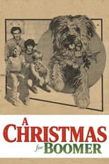 Poster for A Christmas for Boomer