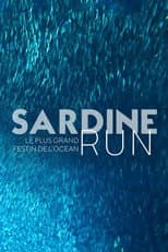 Poster for Sardine Run, le plus grand festin de l'océan