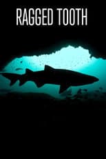 Poster for Ragged Tooth
