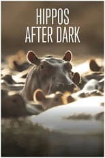 Poster for Hippos after Dark