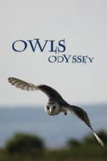 Poster for Owl's Odyssey