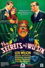 Poster for The Secrets of Wu Sin