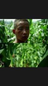 Poster for The Cornfield