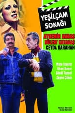 Poster for Yeşilçam Sokağı