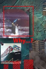 Poster for Why...?