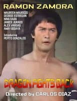 Poster for Dragon Fights Back