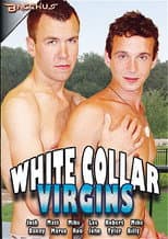 Poster for White Collar Virgins