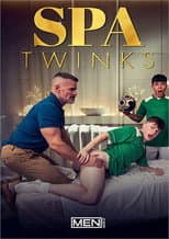 Poster for Spa Twinks
