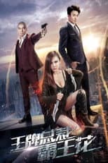 Poster for President and Kung Fu Girl