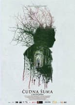 Poster for Strange Forest