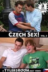 Poster for Czech Sex 3