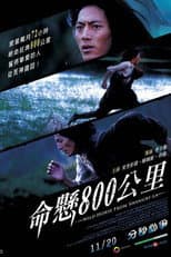 Poster for Wild Horse from Shangri-La