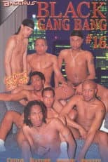 Poster for Black Gang Bang 16