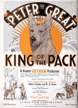 Poster for King of the Pack