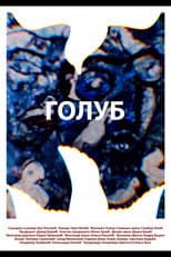 Poster for A Pigeon