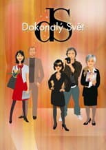 Poster for Dokonalý svět