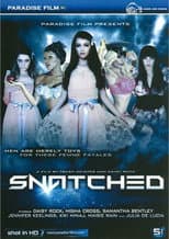 Poster for Snatched