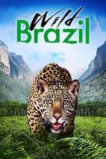 Poster for Wild Brazil