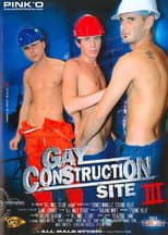 Poster for Gay Construction Site 3