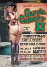 Poster for Garota Country 2